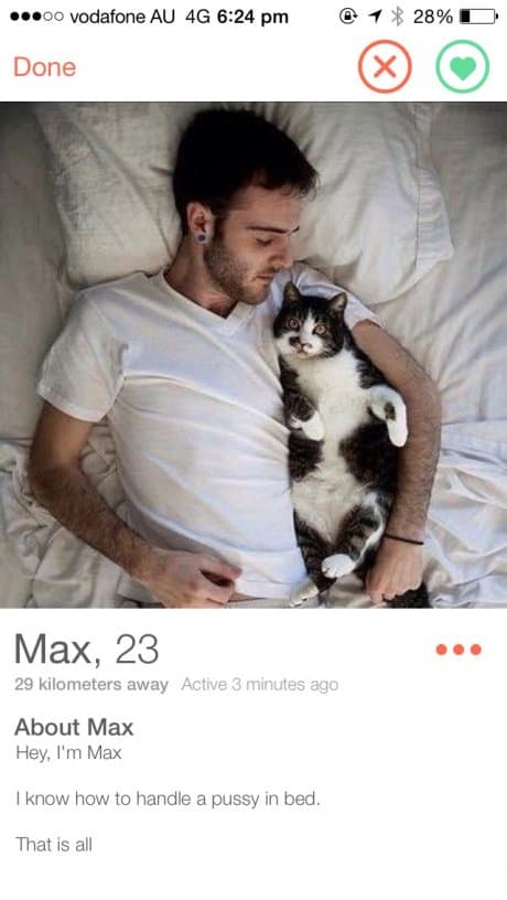 tinder cat