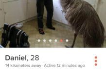 funny tinder bios