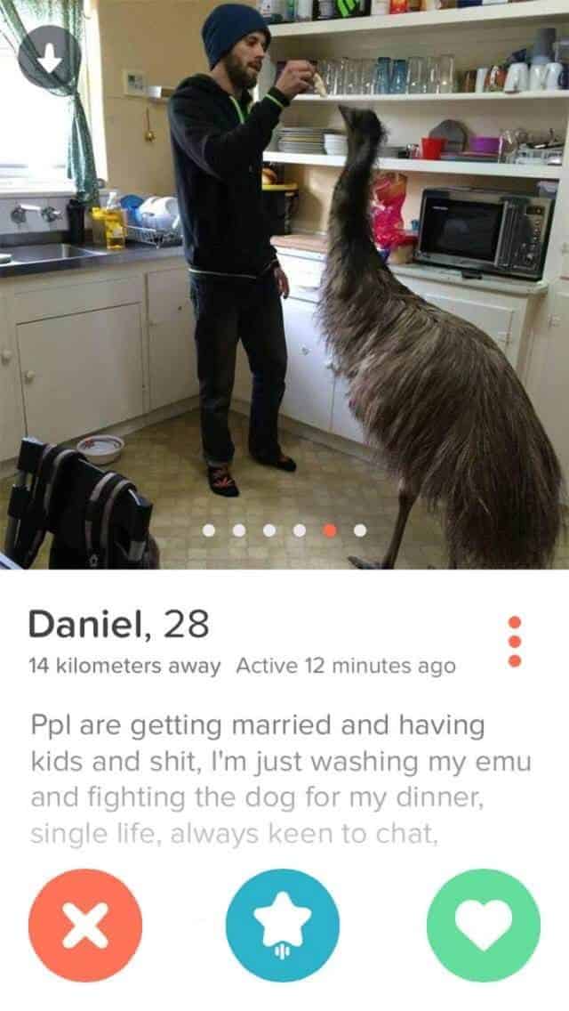 funny tinder bios