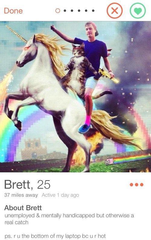 Bios funny copy tinder to 100 Most