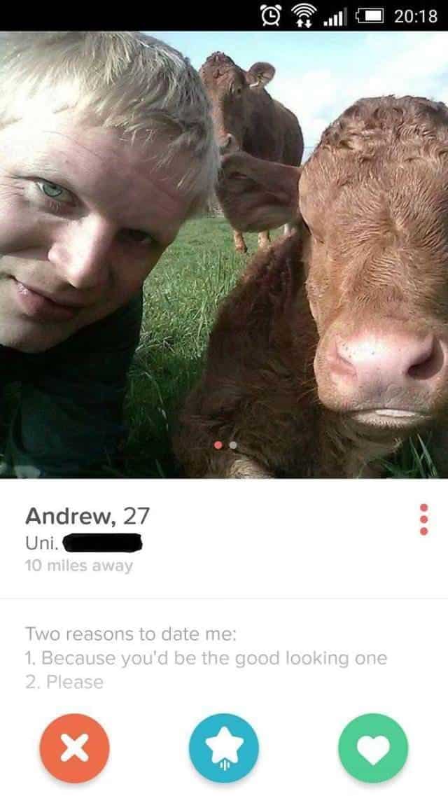 tinder 3